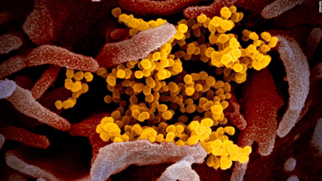 First coronavirus-related death reported in New York