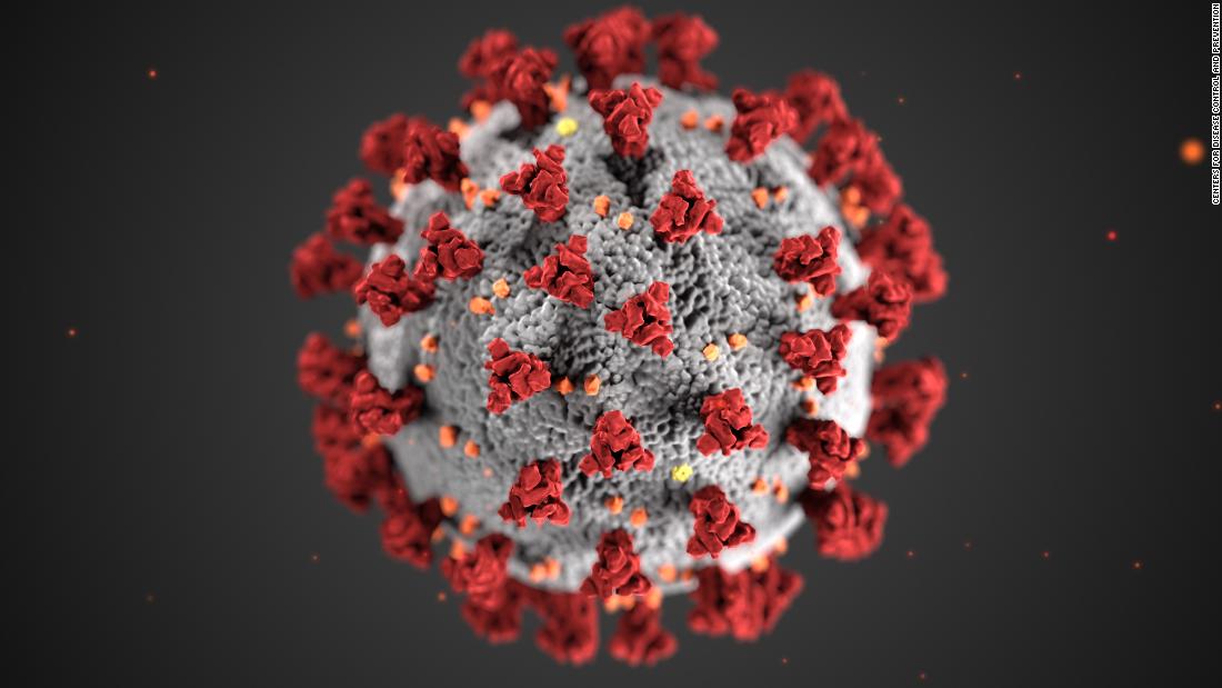 Coronavirus pandemic: Updates from around the world