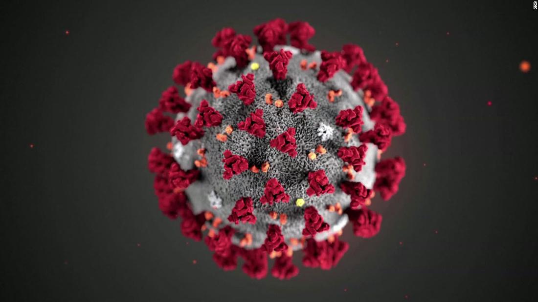Coronavirus pandemic: Updates from around the world