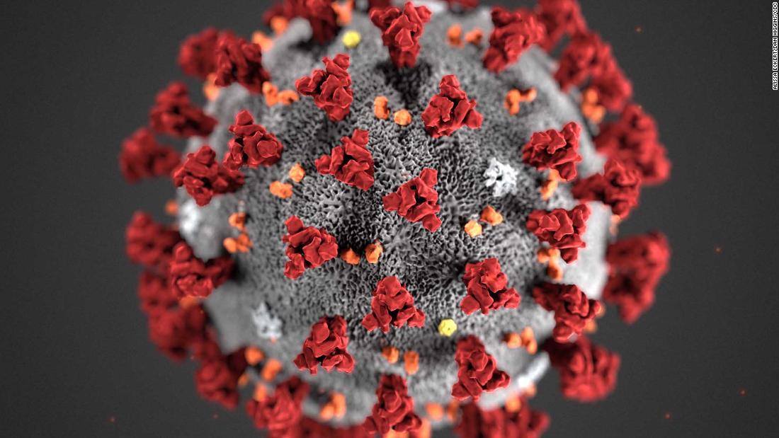 Coronavirus pandemic: Updates from around the world