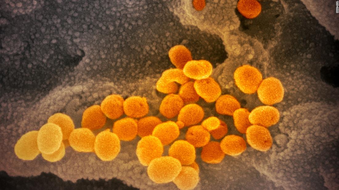 Coronavirus live updates from around the world