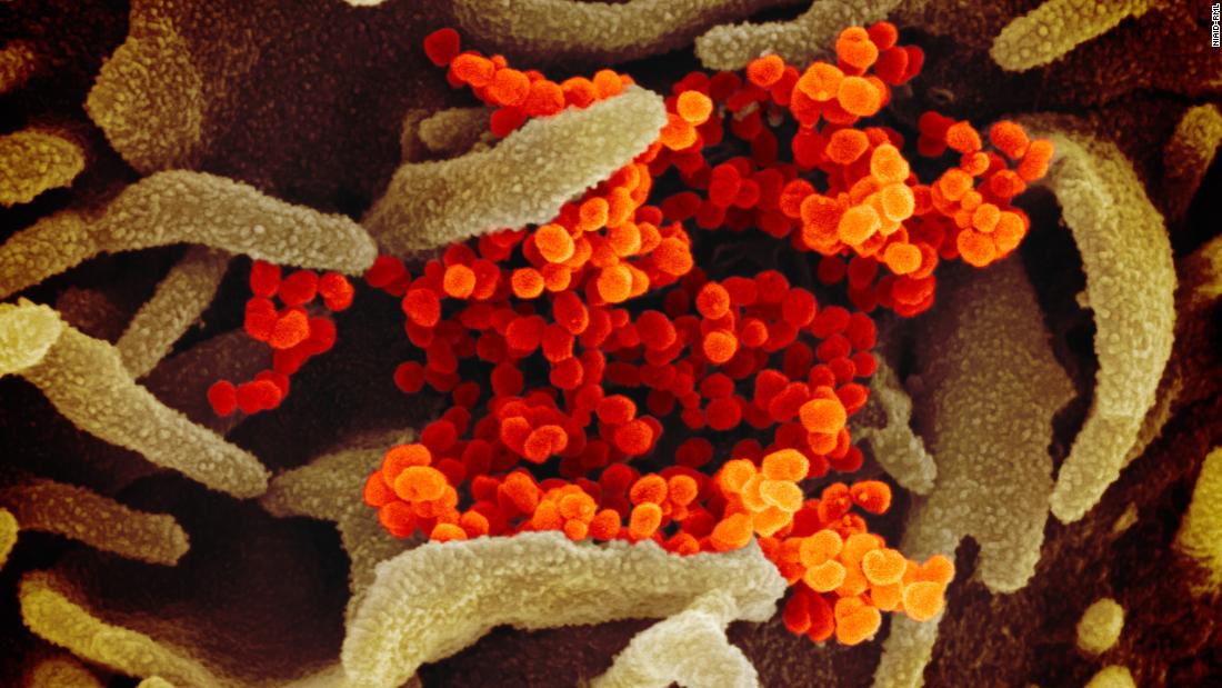 Coronavirus live news and updates from around the world