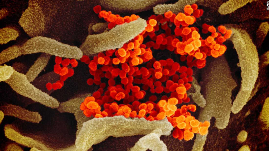 Coronavirus update: Latest Covid-19 vaccine and world news
