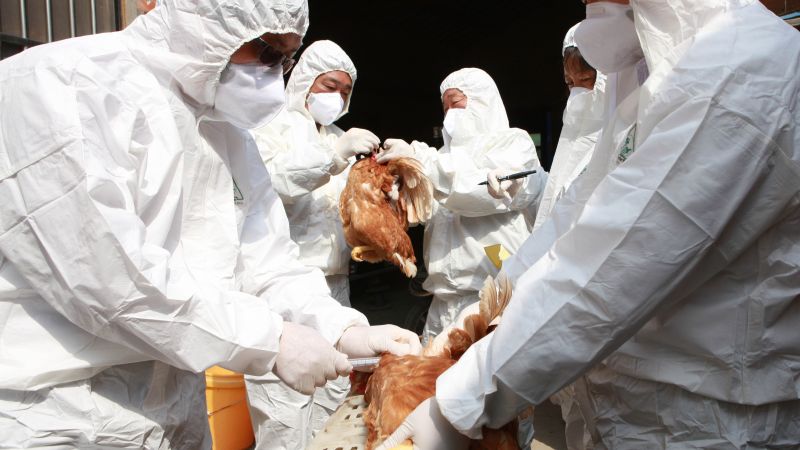 Opinion: What worries scientists like me about bird flu